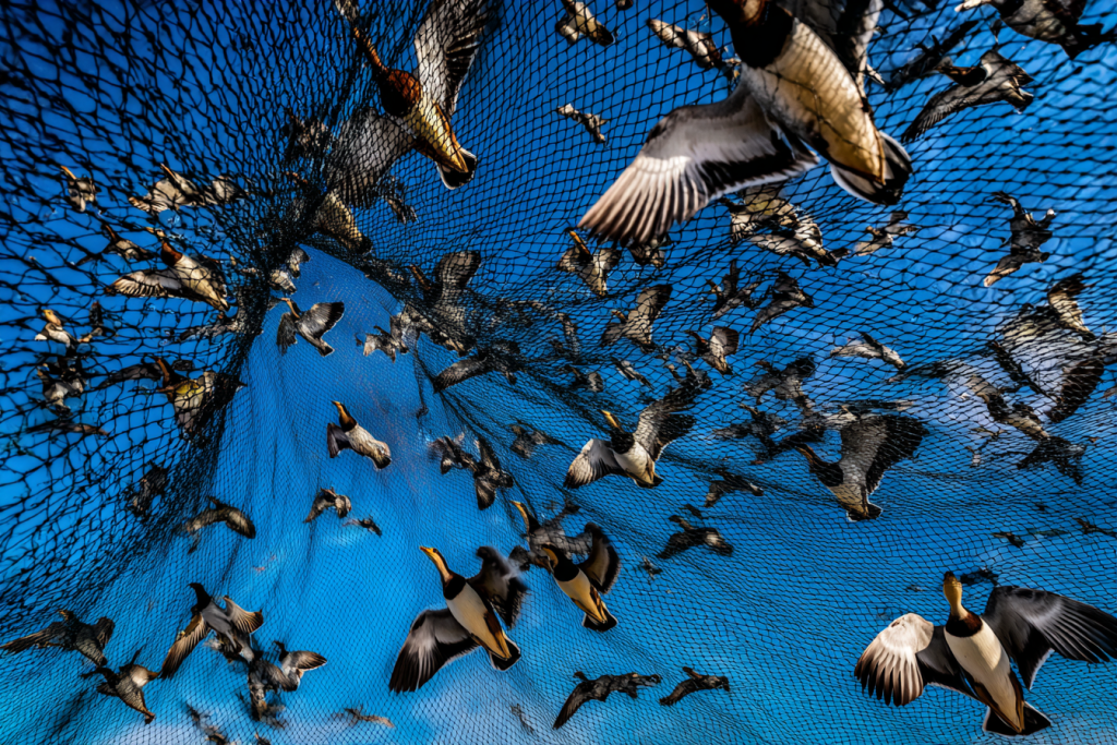 annonce google refusee