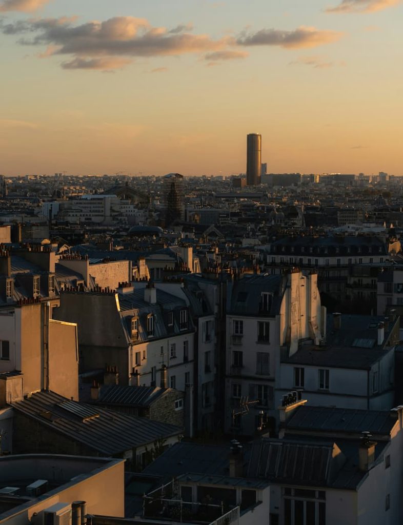 expert google ads paris