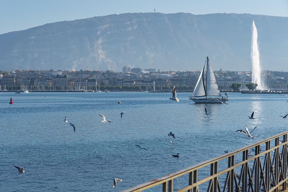freelance google ads geneve