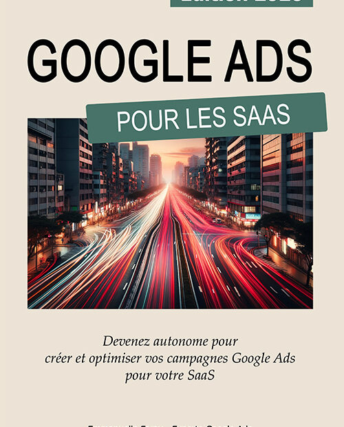 guide google ads saas